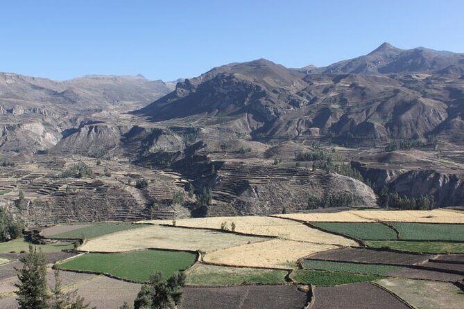 10-Day Discover Peru: Lima, Arequipa, Puno, Cusco & Machu Picchu - Colca Valley by land: Patapampa heights, vicuñas, and a thermal reset