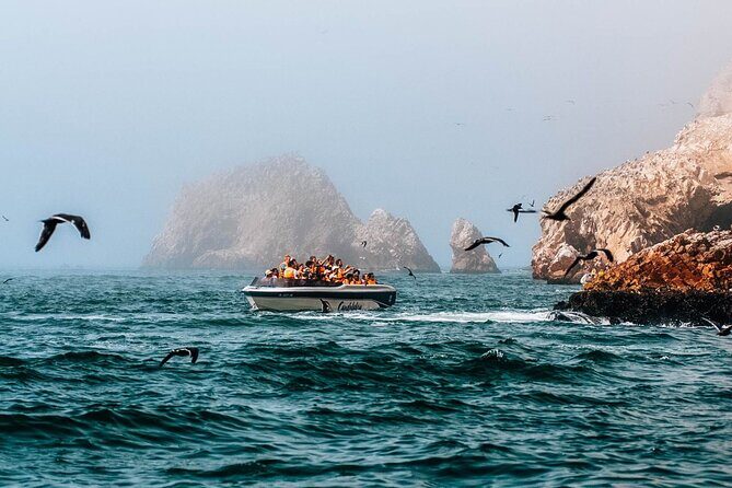 2 Day Tour from Lima: Paracas, Ballestas Island and Huacachina - Day 1 at Mirasur KM 88: a simple breakfast break that sets the tone