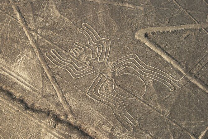 3 Day Tour from Lima: Nazca Lines Flight, Paracas, and Huacachina - Value check: what your $289 actually buys