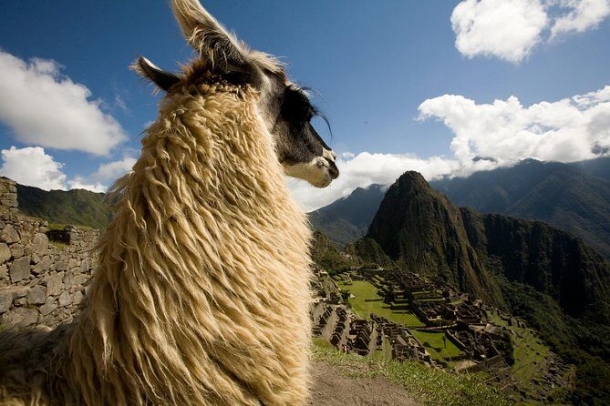 6-Day Peru, Connect your Energies: Lima, Cusco & Machu Picchu - Cusco Intro Afternoon: Markets, Qorikancha, and Inca Stonework