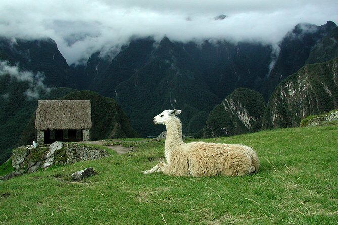 6-Day Private Tour from Lima: Cusco, Sacred Valley and Machu Picchu - Day 1 in Lima: airport pickup and a smooth first night