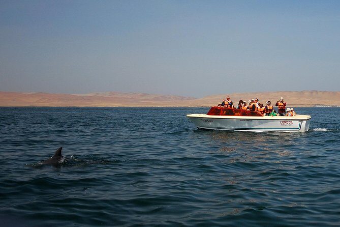 8-Day Enigmas of Peru - Nazca Lines by Small Aircraft, With Paracas as Your Scenic Reset