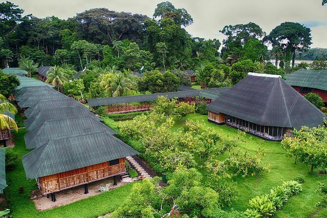 8-Day Tour from Lima: Machu Picchu and the Amazon Jungle - Cusco To Puerto Maldonado: Switching from Andes Views to Jungle Calls