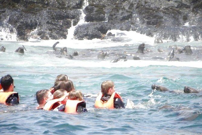Adventure and adrenaline, swimming with SEA LIONS! & visit the Peruvian islands! - Lima Pickup to Islas Palomino: Smooth Start, Real Sea-Lion Day