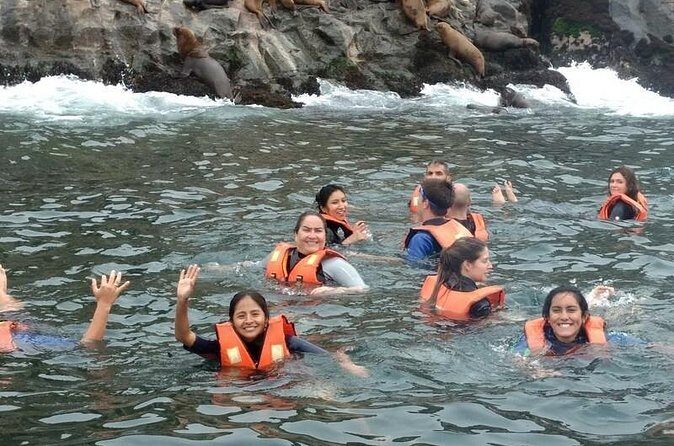 Adventure and adrenaline, swimming with SEA LIONS! & visit the Peruvian islands! - Cold Water, Smell, and Motion: Your Comfort Checklist