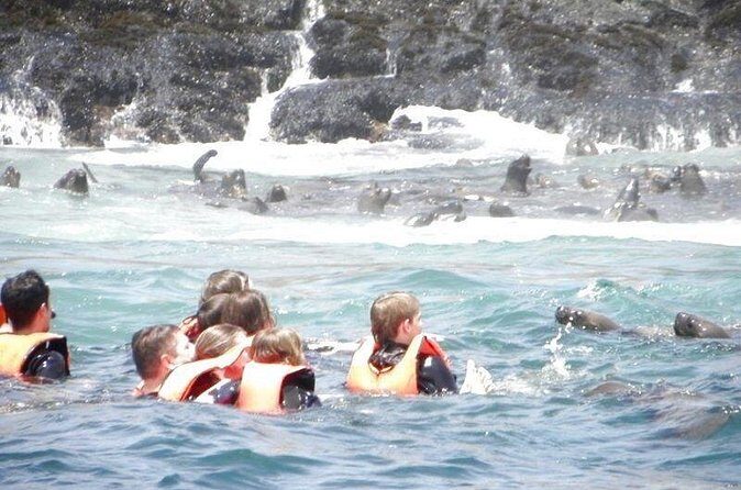 Adventure and adrenaline, swimming with SEA LIONS! & visit the Peruvian islands! - Boat Ride Views and On-the-Water Info: More Than Just Transit