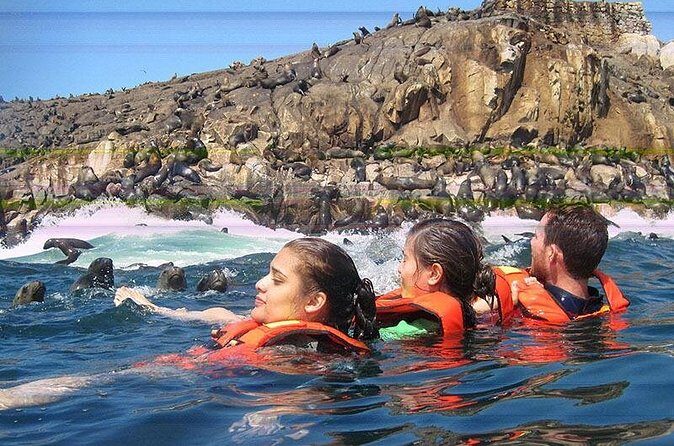 Adventure and adrenaline, swimming with SEA LIONS! & visit the Peruvian islands! - Price and Value at $120: What You’re Paying For