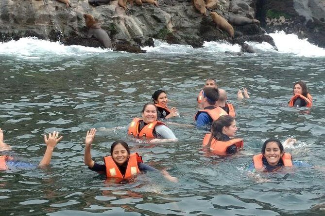 Adventure and adrenaline, swimming with SEA LIONS! & visit the Peruvian islands! - What the 3-Hour Sea Lion Swim Really Feels Like