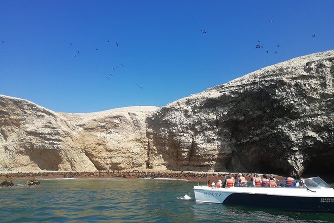Ballestas Islands, Winery & Nazca Lines Express Tour from Lima - Ica lunch plus pisco and wine tasting: where time can feel tight