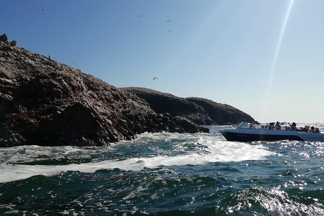 Ballestas Islands, Winery & Nazca Lines Express Tour from Lima - Price and value: what $620 covers and what you’ll pay separately