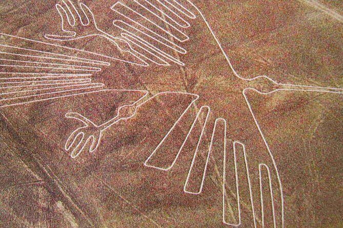 Ballestas Islands, Winery & Nazca Lines Express Tour from Lima - Should you book the Ballestas, Nazca, and Ica Express from Lima?