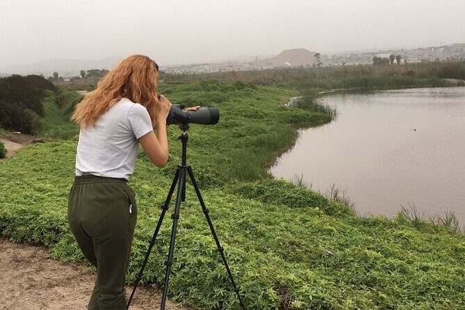 Bike Tour Discovering the Nature and History of Lima - El Parque del Amor and Larcomar: Art, Views, and a Short Pause That Actually Helps
