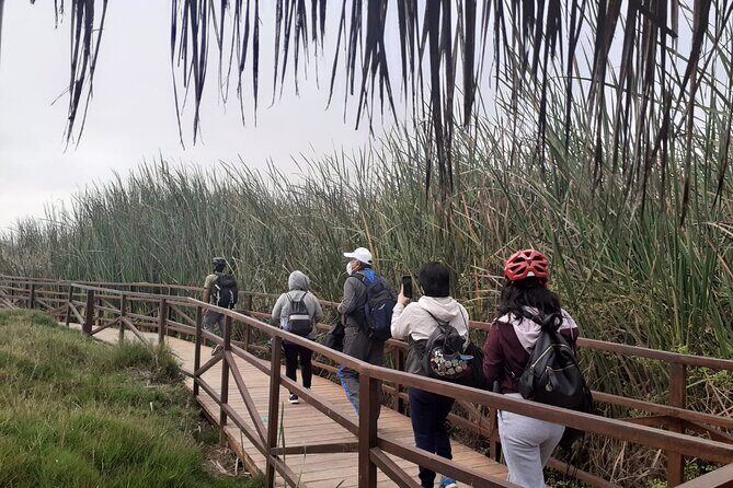 Bike Tour Discovering the Nature and History of Lima - Price and Value: What $60 Covers, and What You Still Need to Pay