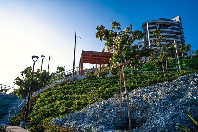 Birdwatching & Landscaping Tour in Lima - Why Lima birding works: three habitats in one morning