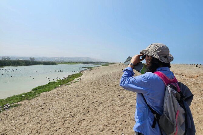 Birdwatching & Landscaping Tour in Lima - Playa Makaha pier: where Peruvian ocean birds show up