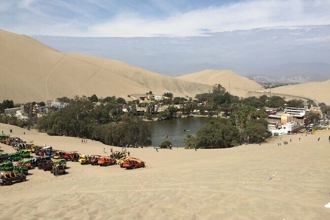 Birdwatching & Landscaping Tour in Lima - Logistics that actually affect your day (meeting point and pickup)