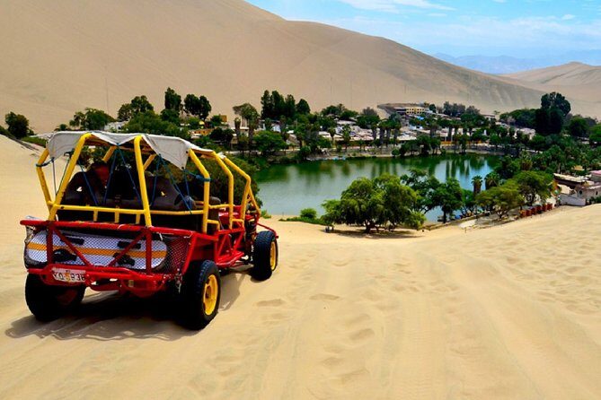 Birdwatching & Landscaping Tour in Lima - What your small group and guide style changes