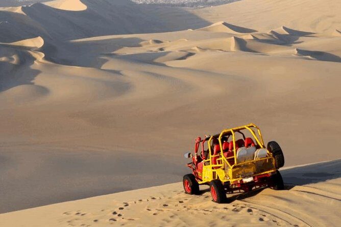 Birdwatching & Landscaping Tour in Lima - Pacing tips so you don’t miss the good moments