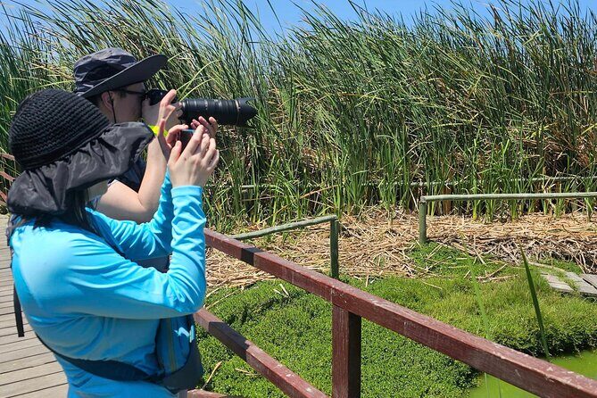 Birdwatching & Landscaping Tour in Lima - Should You Book This Lima Birdwatching Tour?