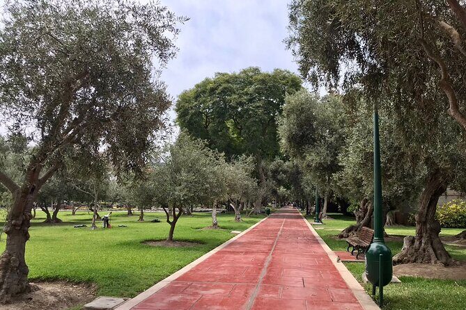 Downtown Lima Historic Guided City Tour - Plaza San Martín and Jirón de la Unión: Perfect for easy walking and great photos