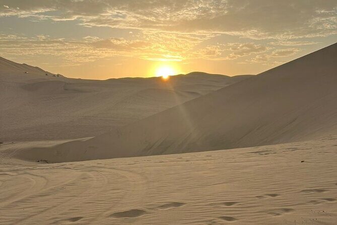 Dream tour: Full day in Paracas, Ica and La Huacachina - Ica wineries and vineyards: wine and pisco production, then tastings