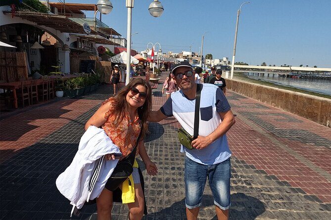 Dream tour: Full day in Paracas, Ica and La Huacachina - Islas Ballestas by slider boat: wildlife plus the El Candelabra view