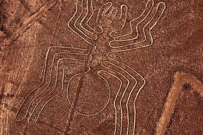 Excursion to Paracas: Huacachina and the Nazca Lines During 2D/1N from Lima - Nazca Lines Observation: Expect Short Viewing Windows