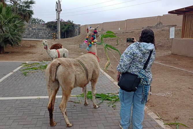 Explore Pachacamac Sanctuary and its Pyramids - Who Should Book This Pachacamac Sanctuary Tour