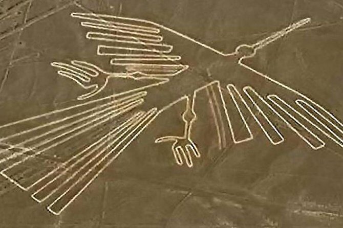 Flight Over the Nazca Lines from Pisco + Huacachina Oasis - Why this Nazca-and-Desert combo makes sense