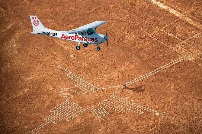 Flight Over the Nazca Lines from Pisco + Huacachina Oasis - Who should book this Nazca + Huacachina flight tour