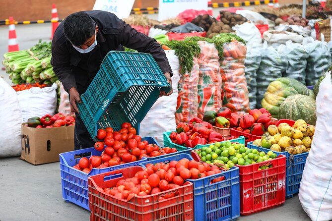 Four Districts of Lima with a Local Market - Miraflores and Punta Roquitas: Pacific-facing Lima