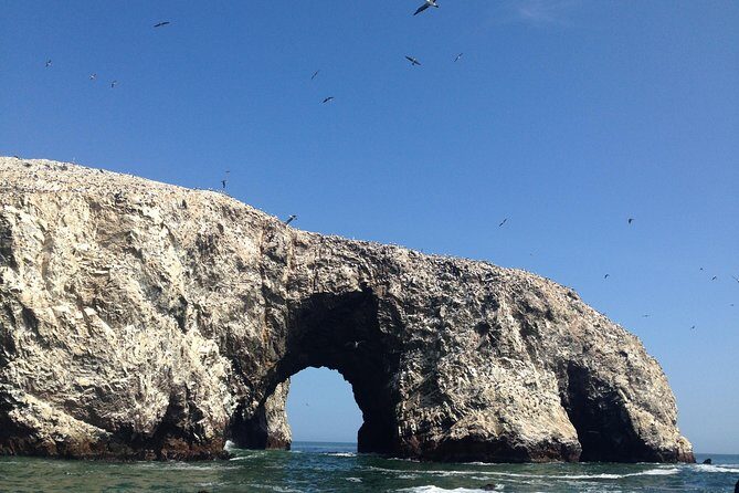 From Lima: Ballestas, Nazca Lines & Huacachina Oasis - Price and Value: Where $550 Really Lands
