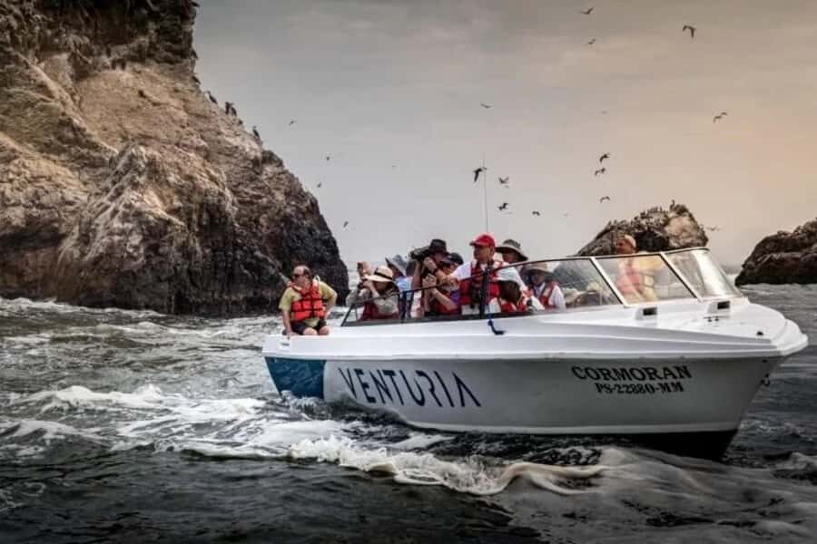 From Lima: Day trip to Paracas, Ica and Oasis Huacachina - Should you book this Lima to Paracas, Ica, and Huacachina day trip?