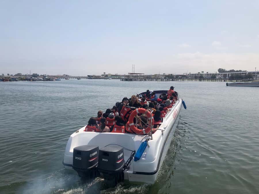 From Lima: Day Trip to Paracas, Ica & Oasis Huacachina - A Very Long Day: Lima to Ballestas, Ica, and Huacachina in One Shot