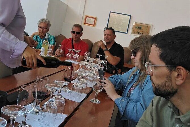 From Lima: Full Day Ica & Huacachina - Tacama in 1540 terms: winery tour, modern process, and tastings