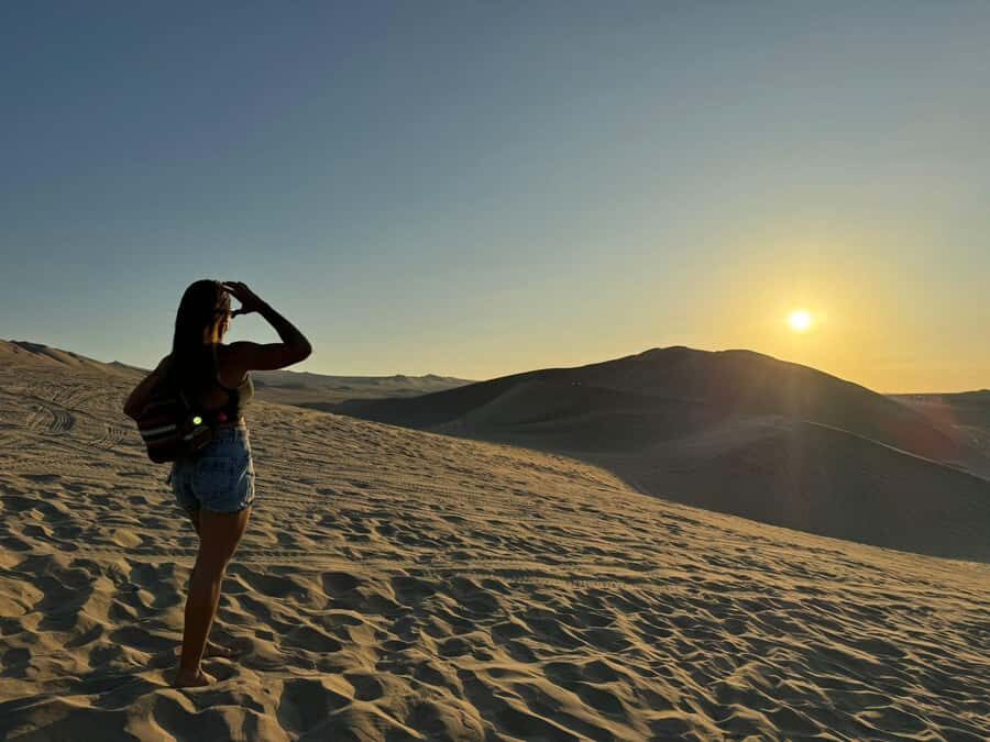 From Lima: Full Day Private All Inclusive Paracas, Ica. - CulturPisco in Ica: pisco tasting plus a real vineyard lunch