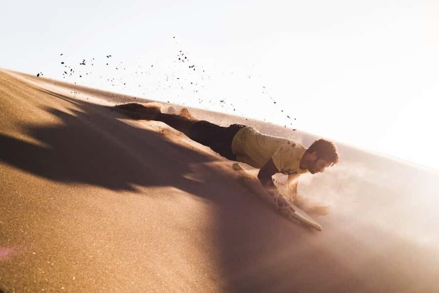 From Lima: Full Day to Paracas and Huacachina Desert Oasis - El Chaco and the Ballestas Islands boat cruise: the wildlife part that delivers