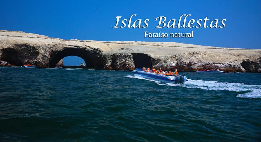 From Lima: Full Day Tour (Paracas + Huacachina) - Logistics: timing, pickup, language, and what to bring