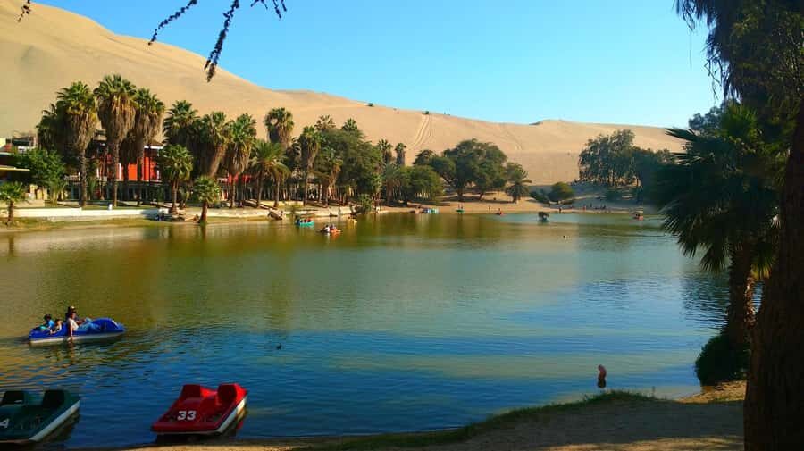 From Lima: Huacachina Oasis Tour, Winery & Desert Sunset - Lima to Ica: The bus ride that shapes the whole day