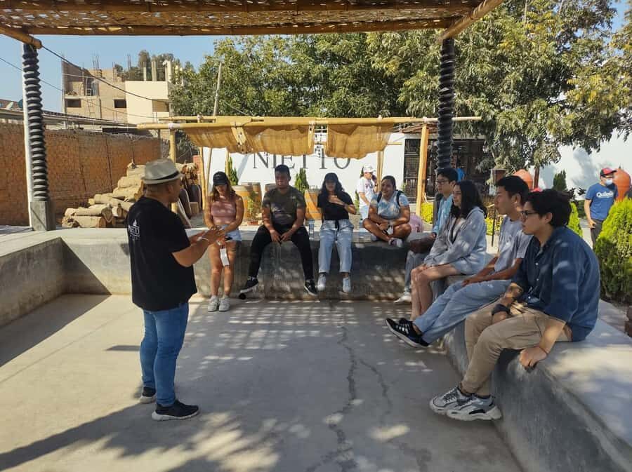 From Lima: Huacachina Oasis Tour, Winery & Desert Sunset - Value check: What you get for your time in Ica