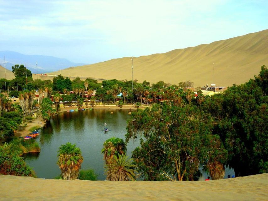 From Lima:Paracas Ballestas Islands and Ica Oasis 1 day Tour - Huacachina Lagoon and Ica dunes: sandboarding and buggy rental