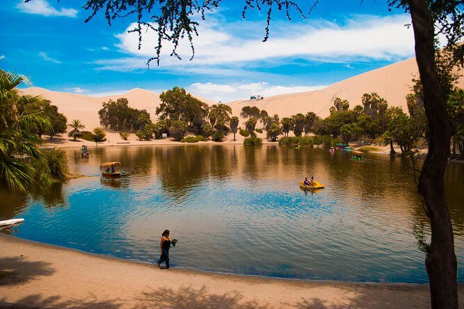 Full Day Group Tour Paracas and Ica from Lima - Pisco Vineyard Stop: What It Adds to the Day