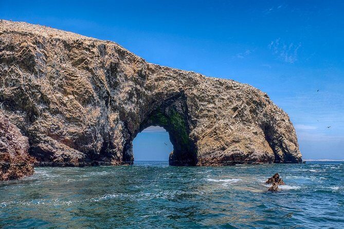 Full Day Group Tour Paracas and Ica from Lima - The Early Morning Start: 5:30 AM Is Real