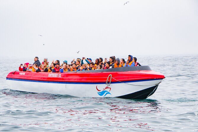 Full Day in Paracas, Ballestas Islands, Ica, Huacachina - The long day plan: why this route makes sense
