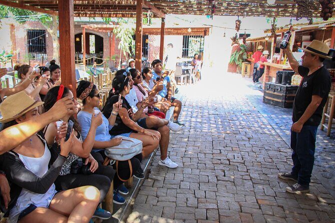 Full Day in Paracas, Ballestas Islands, Ica, Huacachina - Ballestas Islands: wildlife, El Candelabro, and a fast ride