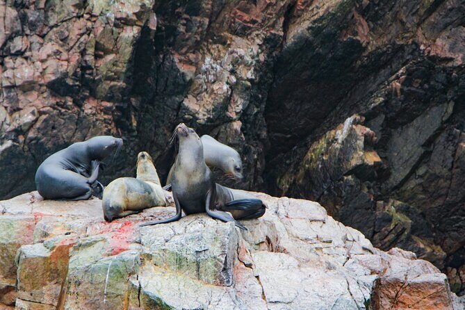Full Day in Paracas, Ballestas Islands, Ica, Huacachina - Price and comfort: is $120 per person good value?