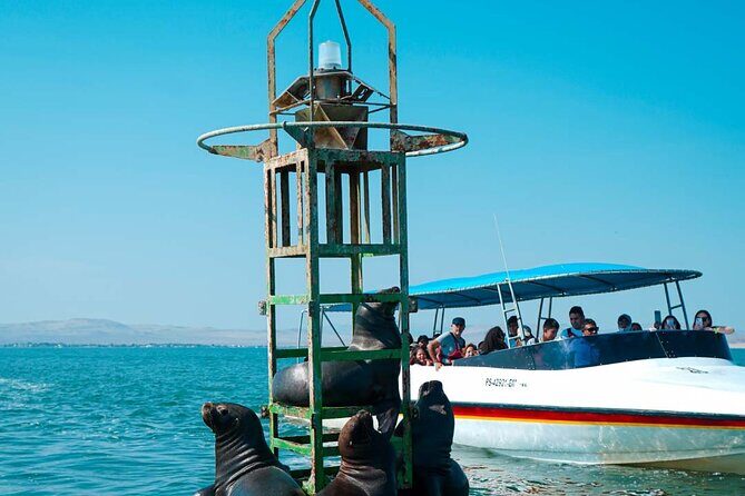 Full Day Lima Paracas & Adrenaline Tour in Huacachina - Morning Pick-Up in Miraflores: Why 4:00 a.m. Matters