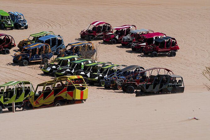 Full Day Lima Paracas & Adrenaline Tour in Huacachina - Who This Tour Suits Best (and Who Should Skip It)