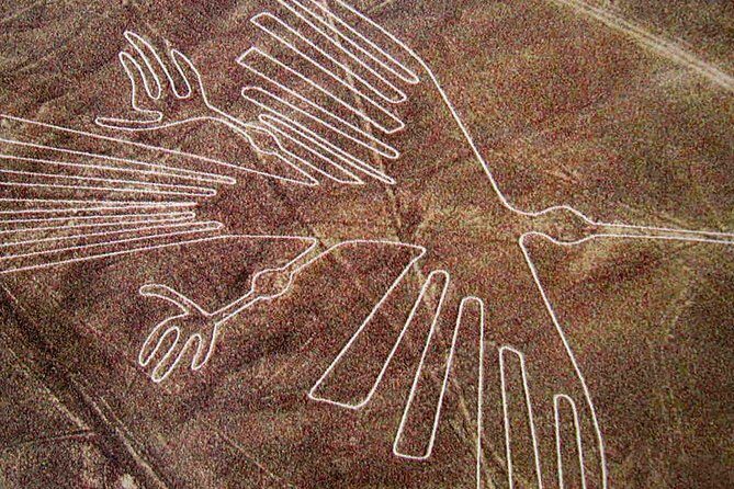 Full Day Nazca Lines, Huacachina Oasis with Buggy and Sandboard - The 4:00 a.m. departure: comfortable pickup, early suffering