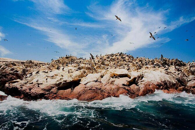 Full-Day Paracas and Huacachina Tour from Lima - Binoculars in Your Hands: Seeing More Without Trying Hard